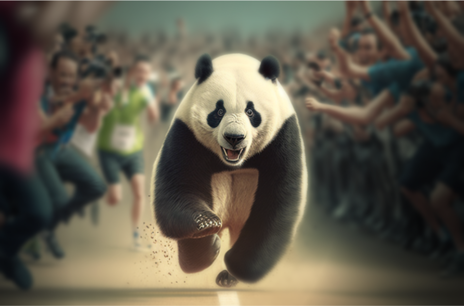 Top 5 tips to make your pandas code absurdly fast
