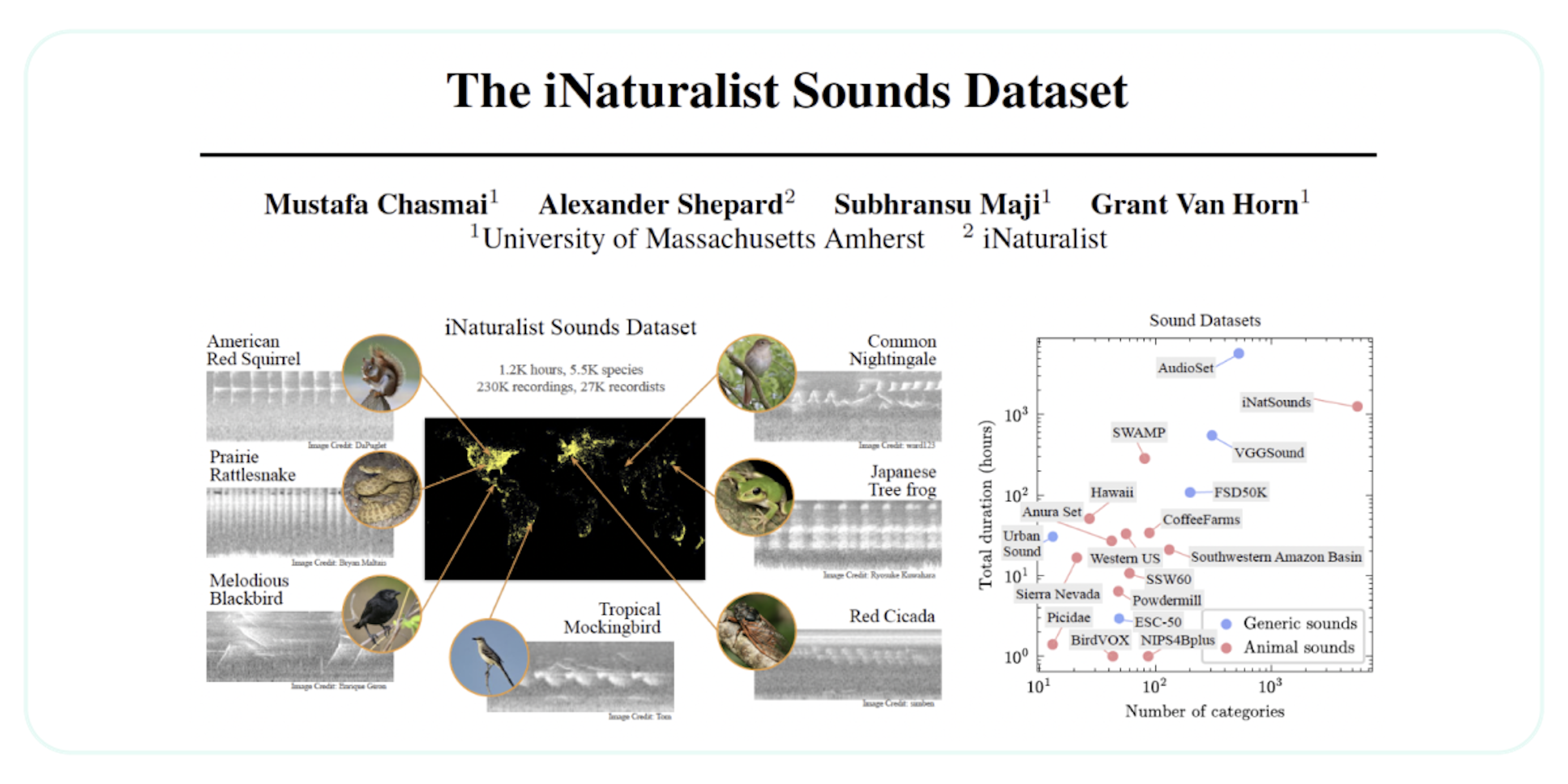 Graphic showing iNaturalist sounds dataset