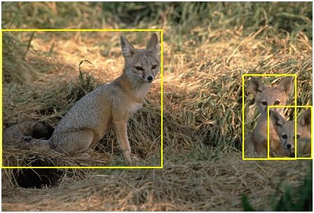 ImageNet images with bounding boxes