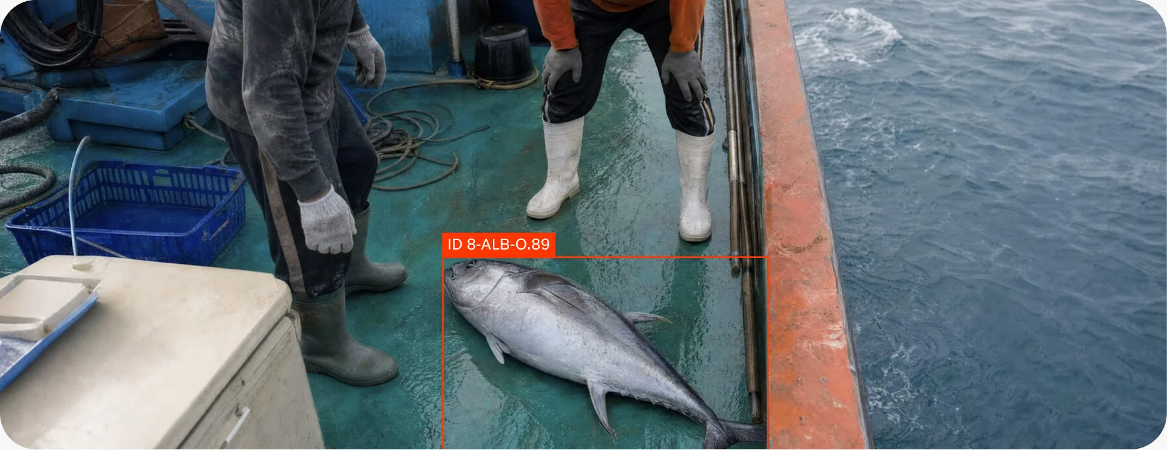 Turning onboard footage into daily catch reports